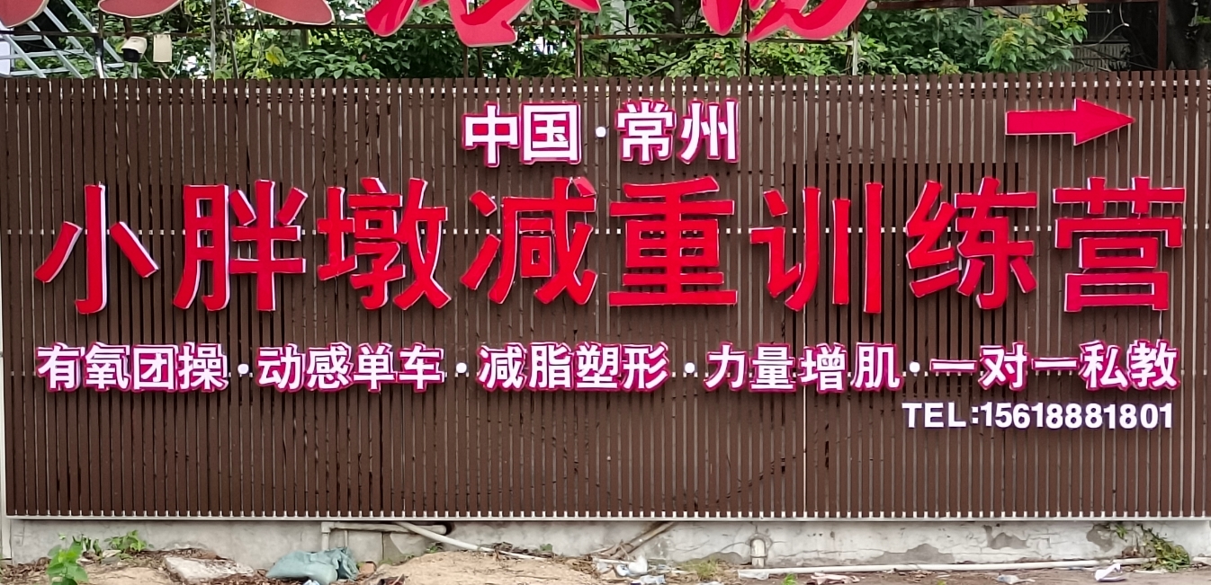 文章插图