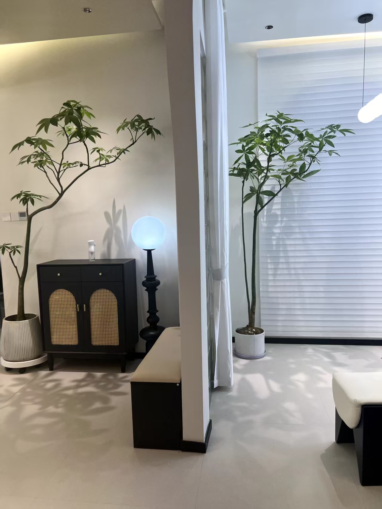 文章插图