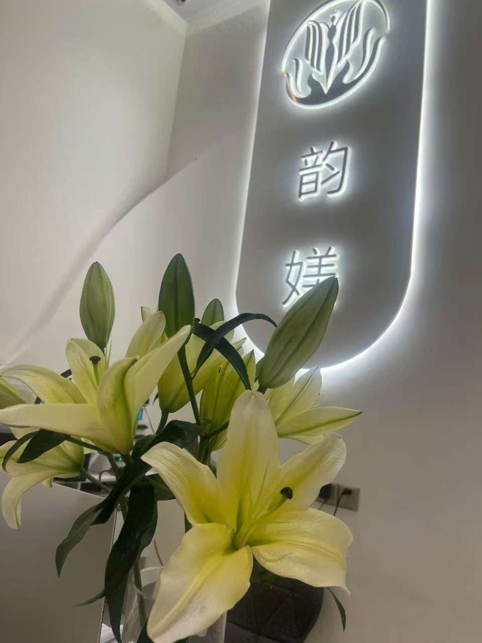 文章插图